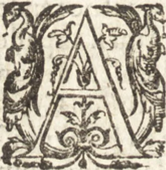 An illustration from Histoire naturelle et moralle des Indes, tant orientalles qu'occidentalles : où il est traittʹe des choses remarquables du ciel, des elemens, metaux, plantes & animaux qui sont propres de ce païs : ensemble des mœurs, ceremonies, loix, gouuernemens & guerres des mesmes Indiens, 1606, leaf 539