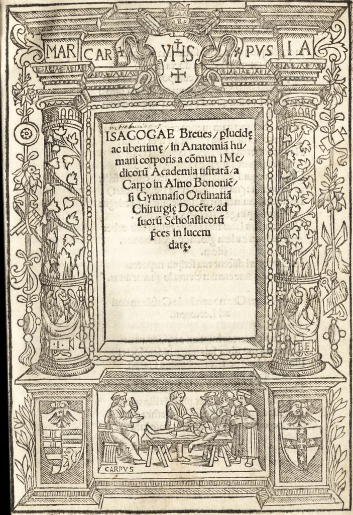 An illustration from Isagogae breues, p[er]lucidȩ ac uberrimȩ, in anatomiã humani corporis a cõmuni medicorũ academia usitatã, 1523, leaf 12