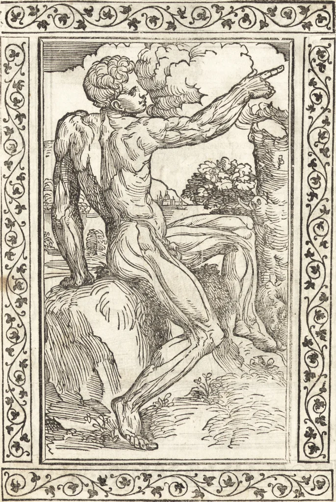 An illustration from Isagogae breues, p[er]lucidȩ ac uberrimȩ, in anatomiã humani corporis a cõmuni medicorũ academia usitatã, 1523, leaf 149