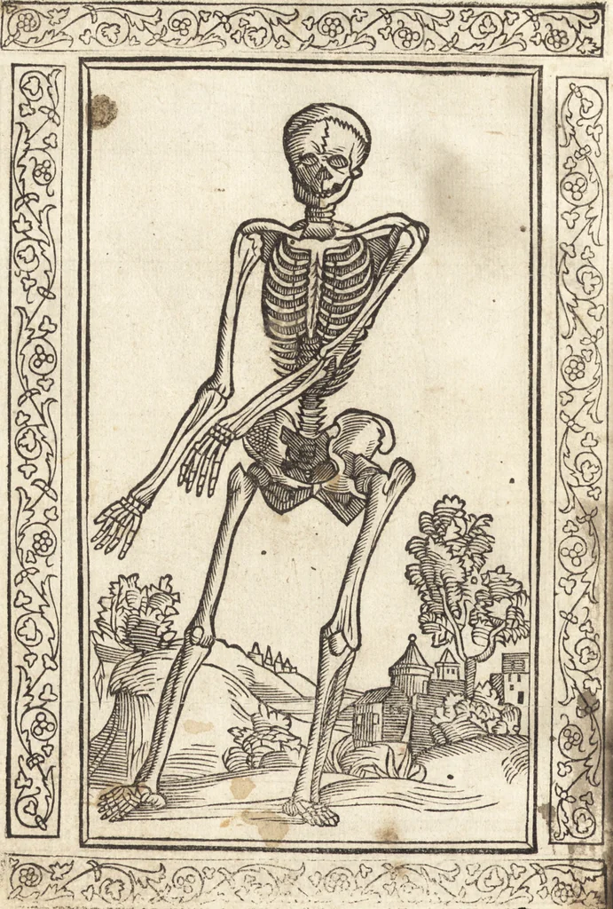 An illustration from Isagogae breues, p[er]lucidȩ ac uberrimȩ, in anatomiã humani corporis a cõmuni medicorũ academia usitatã, 1523, leaf 151