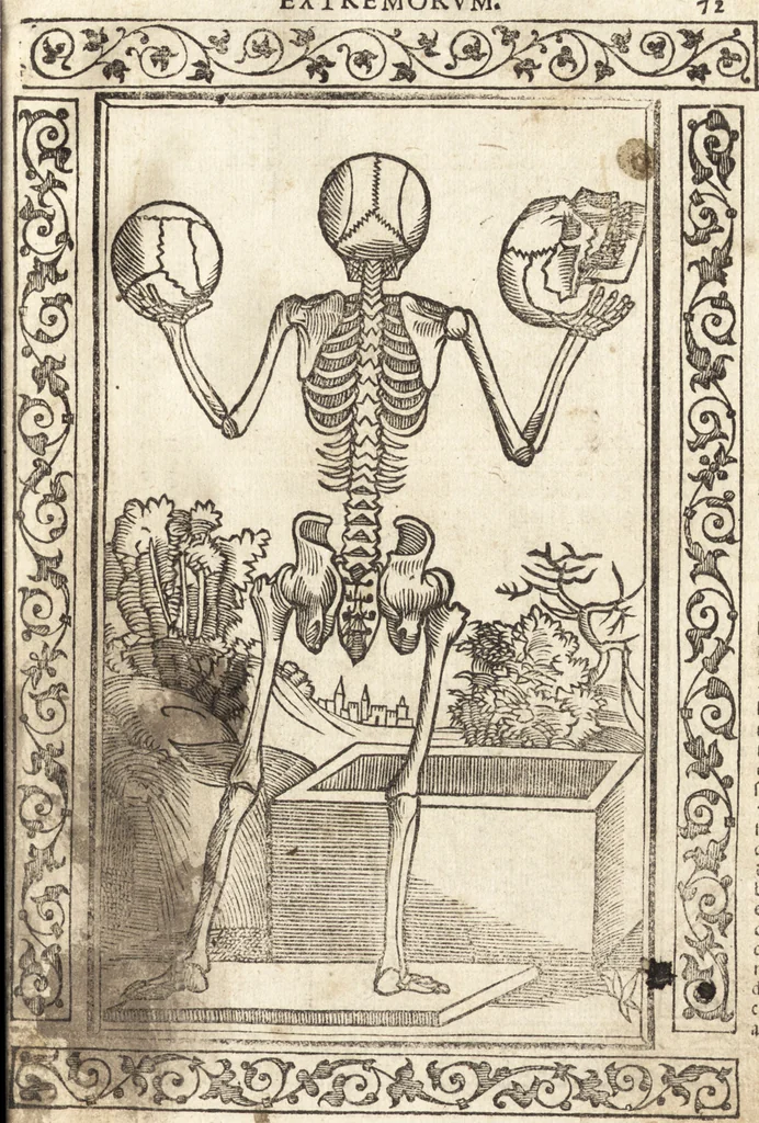 An illustration from Isagogae breues, p[er]lucidȩ ac uberrimȩ, in anatomiã humani corporis a cõmuni medicorũ academia usitatã, 1523, leaf 152