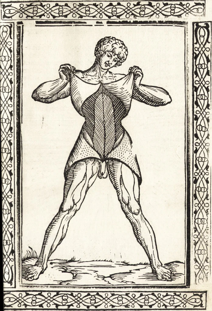 An illustration from Isagogae breues, p[er]lucidȩ ac uberrimȩ, in anatomiã humani corporis a cõmuni medicorũ academia usitatã, 1523, leaf 20