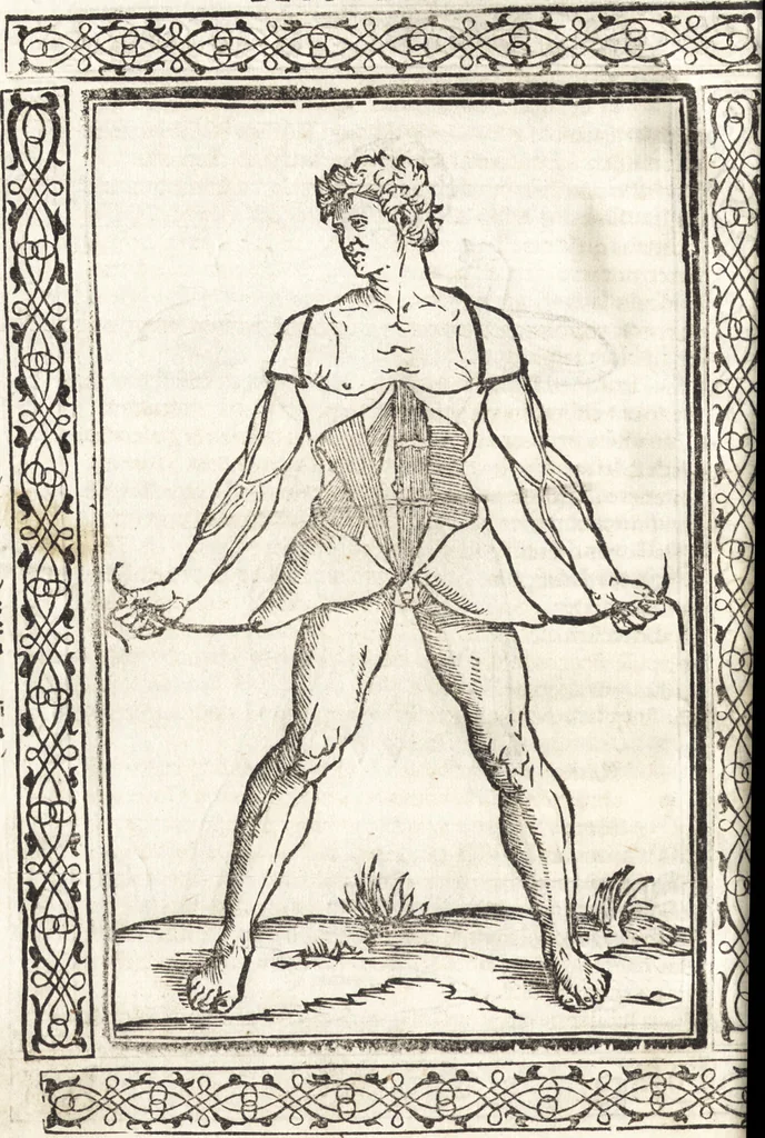 An illustration from Isagogae breues, p[er]lucidȩ ac uberrimȩ, in anatomiã humani corporis a cõmuni medicorũ academia usitatã, 1523, leaf 27