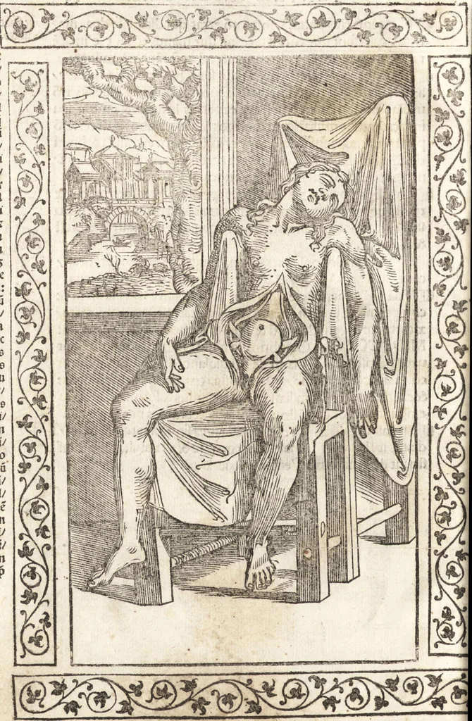 An illustration from Isagogae breues, p[er]lucidȩ ac uberrimȩ, in anatomiã humani corporis a cõmuni medicorũ academia usitatã, 1523, leaf 55