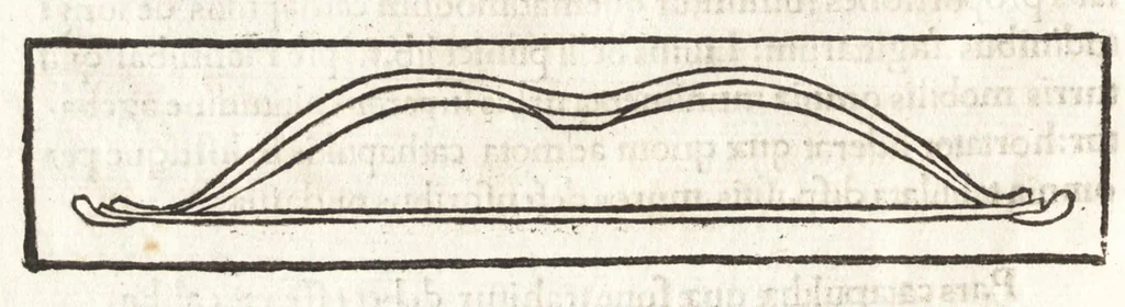 An illustration from Elenchus & index rerum militarium quae singulis codicis huius in uoluminibus continetur ut inpromptu sint uniuersa hoc est ne talium rerum curiosa perlegen .., leaf 313