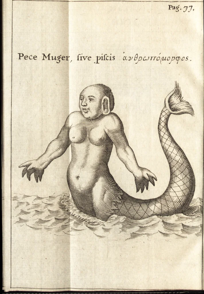An illustration from Francisci Redi patricii Aretini, Opusculorum pars prior, sive, Experimenta circa generationem insectorum : accedit J. Frid. Lachmund, De ave diomedea dissertatio, 1685, leaf 469
