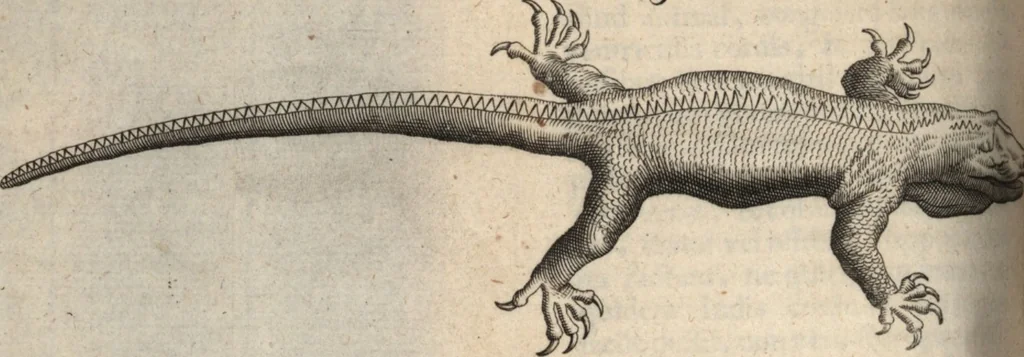 An illustration from Francisci Redi patricii Aretini, Opusculorum pars prior, sive, Experimenta circa generationem insectorum : accedit J. Frid. Lachmund, De ave diomedea dissertatio, 1685, leaf 475