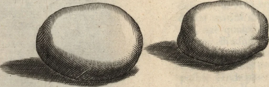 An illustration from Francisci Redi patricii Aretini, Opusculorum pars prior, sive, Experimenta circa generationem insectorum : accedit J. Frid. Lachmund, De ave diomedea dissertatio, 1685, leaf 475