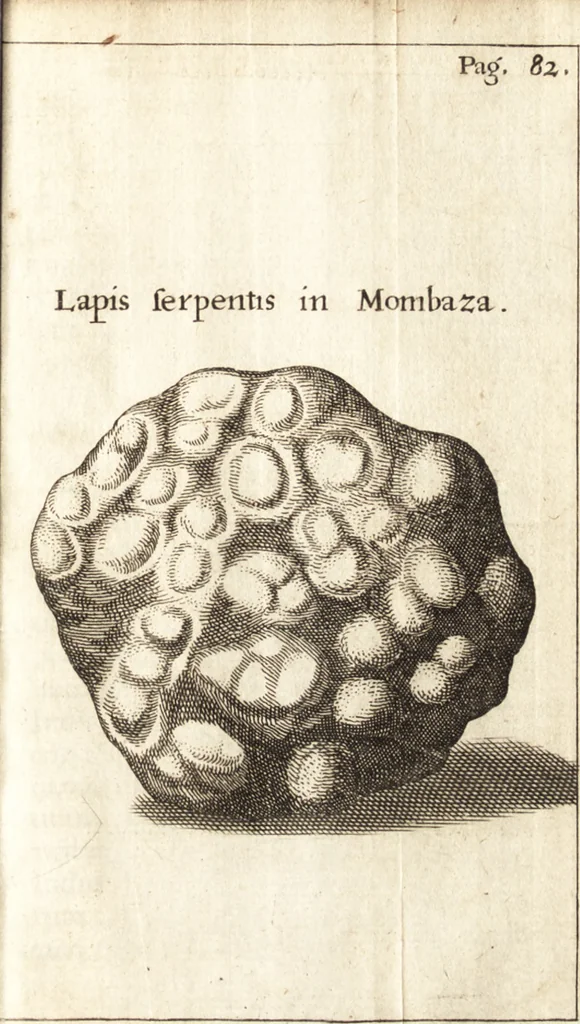 An illustration from Francisci Redi patricii Aretini, Opusculorum pars prior, sive, Experimenta circa generationem insectorum : accedit J. Frid. Lachmund, De ave diomedea dissertatio, 1685, leaf 478