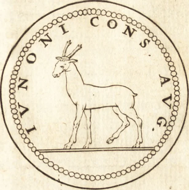 An illustration from Francisci Redi patricii Aretini, Opusculorum pars prior, sive, Experimenta circa generationem insectorum : accedit J. Frid. Lachmund, De ave diomedea dissertatio, 1685, leaf 516