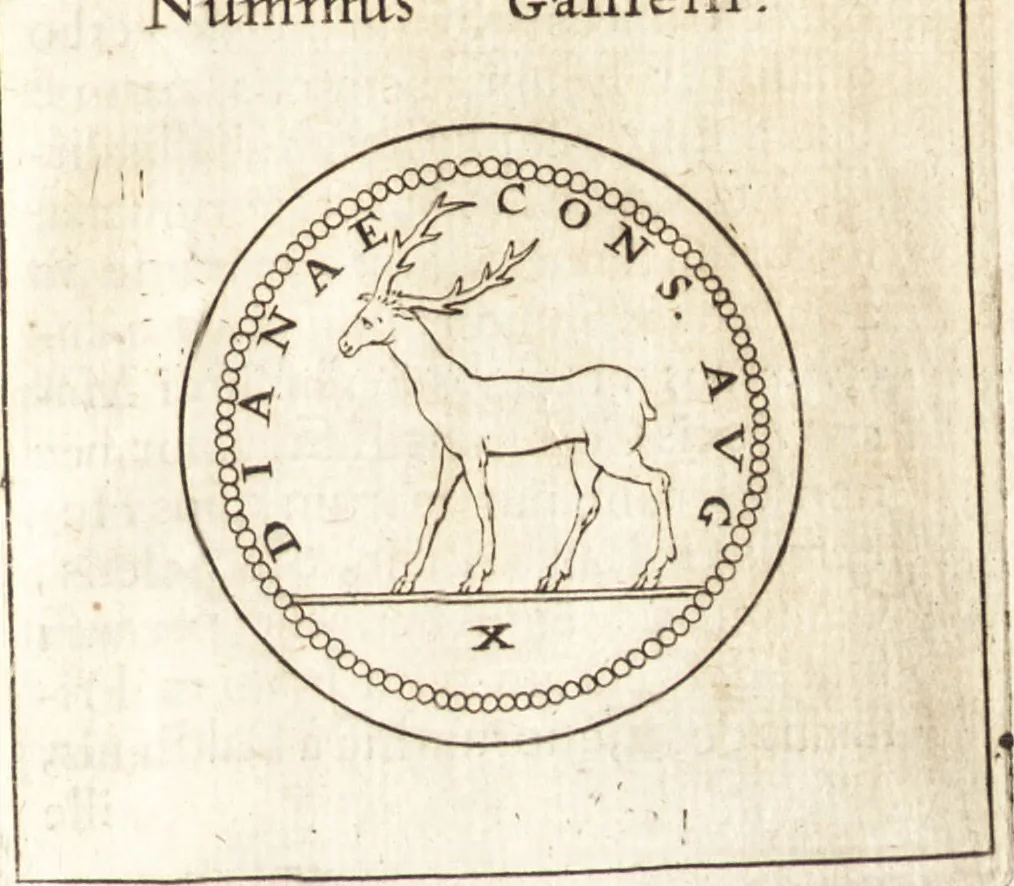 An illustration from Francisci Redi patricii Aretini, Opusculorum pars prior, sive, Experimenta circa generationem insectorum : accedit J. Frid. Lachmund, De ave diomedea dissertatio, 1685, leaf 516