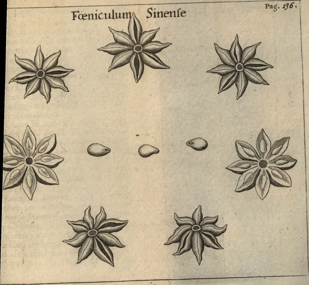An illustration from Francisci Redi patricii Aretini, Opusculorum pars prior, sive, Experimenta circa generationem insectorum : accedit J. Frid. Lachmund, De ave diomedea dissertatio, 1685, leaf 538