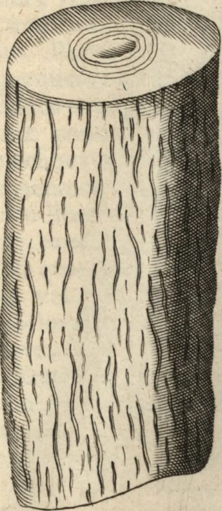 An illustration from Francisci Redi patricii Aretini, Opusculorum pars prior, sive, Experimenta circa generationem insectorum : accedit J. Frid. Lachmund, De ave diomedea dissertatio, 1685, leaf 542