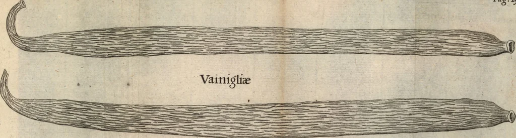 An illustration from Francisci Redi patricii Aretini, Opusculorum pars prior, sive, Experimenta circa generationem insectorum : accedit J. Frid. Lachmund, De ave diomedea dissertatio, 1685, leaf 550