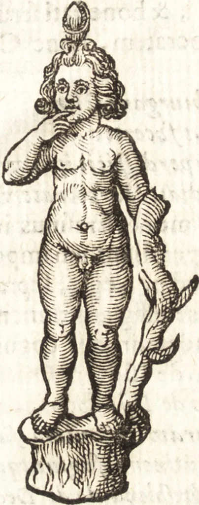 An illustration from De profanis et sacris veteribus ritibus, 1644, leaf 86