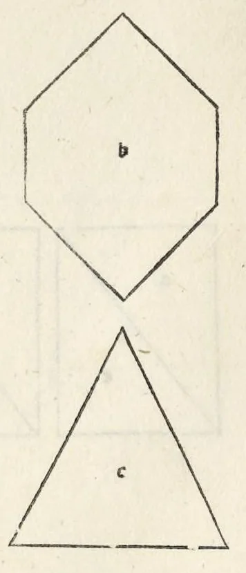 An illustration from Preclarissimũ opus elemento[rum], leaf 219