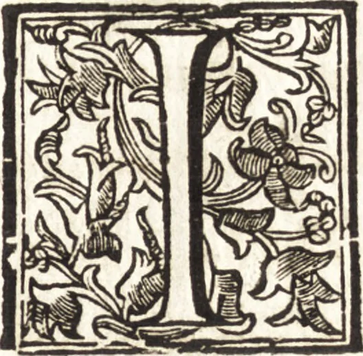 An illustration from Vita del cavalier Gio. Lorenzo Bernino, 1713, leaf 14