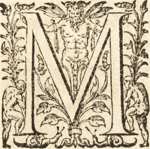 An illustration from Ivsti LipsI Opera omnia qvæ ad criticam proprie spectant : postremùm ab ipso aucta, correcta, digesta : quorum omnium index & ordo post præfationem, 1611, leaf 110