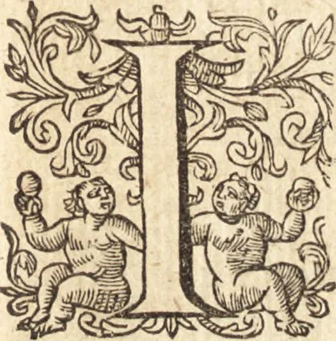 An illustration from Ivsti LipsI Opera omnia qvæ ad criticam proprie spectant : postremùm ab ipso aucta, correcta, digesta : quorum omnium index & ordo post præfationem, 1611, leaf 224
