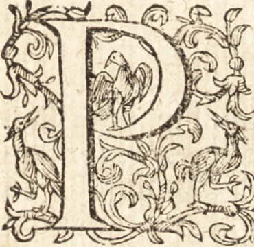 An illustration from Ivsti LipsI Opera omnia qvæ ad criticam proprie spectant : postremùm ab ipso aucta, correcta, digesta : quorum omnium index & ordo post præfationem, 1611, leaf 28