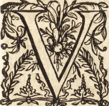 An illustration from Ivsti LipsI Opera omnia qvæ ad criticam proprie spectant : postremùm ab ipso aucta, correcta, digesta : quorum omnium index & ordo post præfationem, 1611, leaf 366