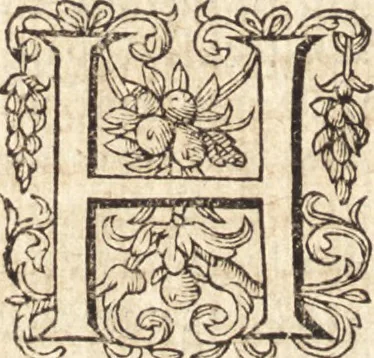 An illustration from Ivsti LipsI Opera omnia qvæ ad criticam proprie spectant : postremùm ab ipso aucta, correcta, digesta : quorum omnium index & ordo post præfationem, 1611, leaf 49