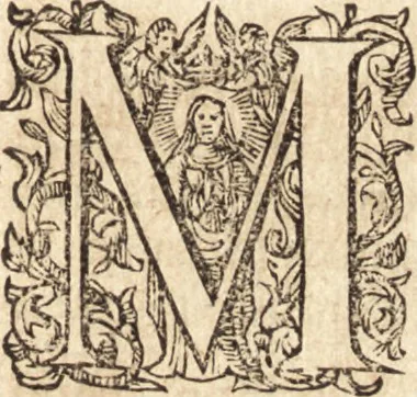 An illustration from Ivsti LipsI Opera omnia qvæ ad criticam proprie spectant : postremùm ab ipso aucta, correcta, digesta : quorum omnium index & ordo post præfationem, 1611, leaf 76