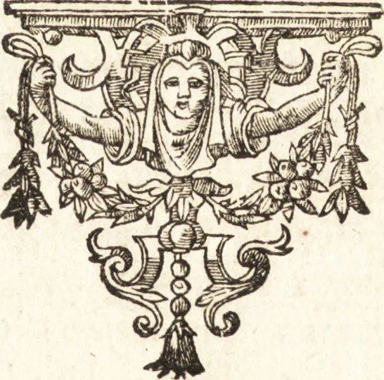 An illustration from I. LipsI De recta pronvnciatione Latinæ linguæ dialogvs, 1609, leaf 8