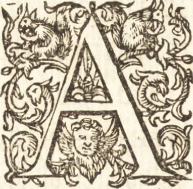 An illustration from I. LipsI De recta pronvnciatione Latinæ linguæ dialogvs, 1609, leaf 9