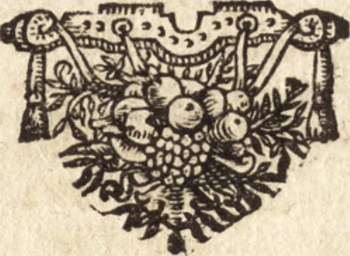 An illustration from Javaense reyse : gedaen van Batavia over Samarangh na de konincklijcke hoofd-plaets Mataram, door de heere N.N. in den jare 1656 .., 1667, leaf 42