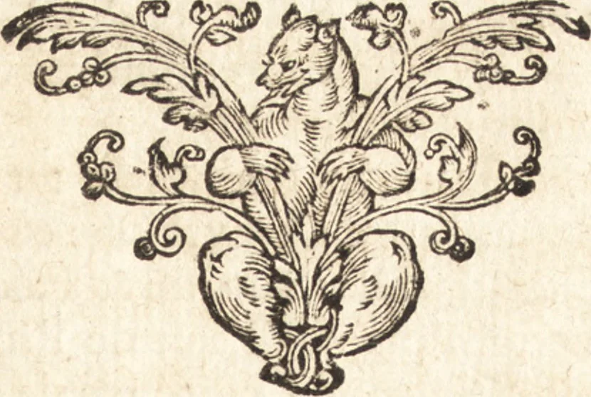 An illustration from Le pieux pelerin, ou Voyage de Ierusalem. Divisé en trois livres, contenans la description topographique de plusieurs royaumes, pais, villes, nations estrangeres, nommément des quatorze religions orientales... Ioinct un discours de l'Alcoran, et un traicté de la cité de Ierusalem, et de tous les saincts lieux de la Palestine, 1666, leaf 322