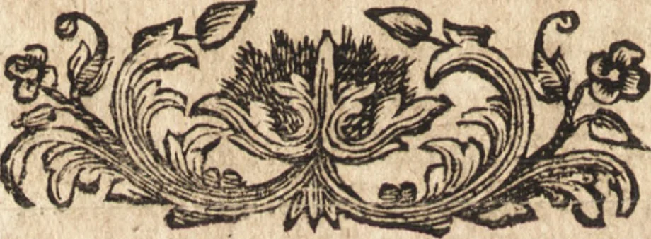 An illustration from Joh. Frieder. Christen, Professoris bey der Universität zu Leipzig, Anzeige und Auslegung der Monogrammatum : einzeln und verzogenen Anfangsbuchstaben der Nahmen, auch anderer Züge und Zeichen, unter welchen berühmte Mahler, Kupferstecher, und andere dergleichen Künstler, aus ihren Wercken sich verborgen haben : alles aus gutem Grunde und aus den ersten Wercken selbst, ietzt von neuem genommen, 1747, leaf 345