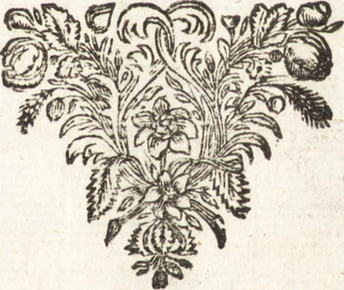 An illustration from De Spaensche Mercurius : verhandelende eenige onderlinge belangen van die kroon aenmerckelijcke bysonderheden, voor-vallen, en andere eygenschappen : met schoone koopere platen der geschiedenissen verciert : zijnde van de Reysende Mercurius het tweede deel, 1674, leaf 6