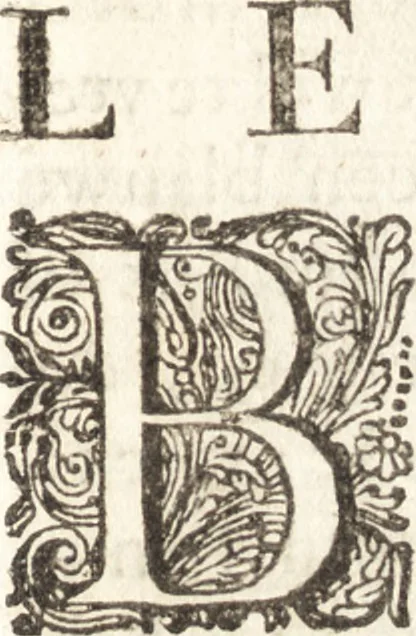 An illustration from De Fransche Mercurius : verhandelende europische, en voornamentlijck Fransche saken, in en omtrent dese tijdt voorgevallen : als mede een verantwoordingh van de Reysende Mercurius op de aenmerckinge over en tegen de selve gedaen : zijnde van de Reysende Mercurius het derde deel, 1674, leaf 8