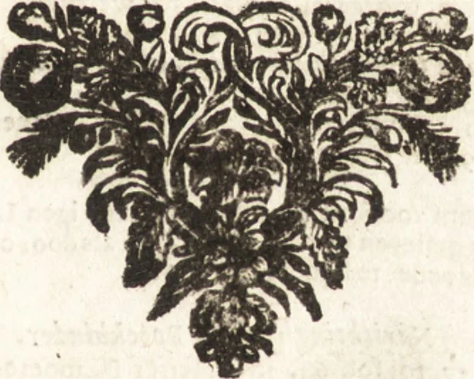 An illustration from De reysende Mercurius : verhandelende de hedendaeghsche en onlanghs tegenwoordige staet en verrichtingen van Europa, afbeeldinge der volckeren, staets-handelingen, bysondere voorvallen, en afbeeldinge der zeden, &c. : met schoone koopere platen der geschiedenissen verçiert, 1673, leaf 10