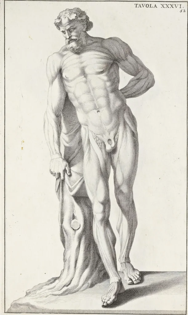 An illustration from Anatomia per uso et intelligenza del disegno; ricercata non solo su gl'ossi e muscoli del corpo humano, ma dimostrata ancora su le statue antiche più insigni di Roma;, 1691, leaf 108
