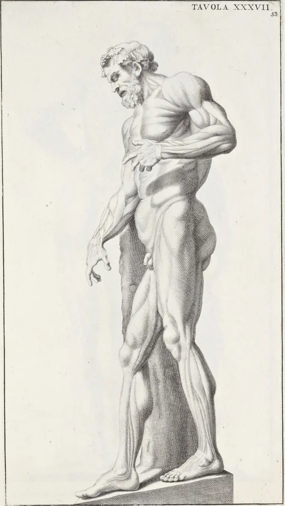 An illustration from Anatomia per uso et intelligenza del disegno; ricercata non solo su gl'ossi e muscoli del corpo humano, ma dimostrata ancora su le statue antiche più insigni di Roma;, 1691, leaf 110