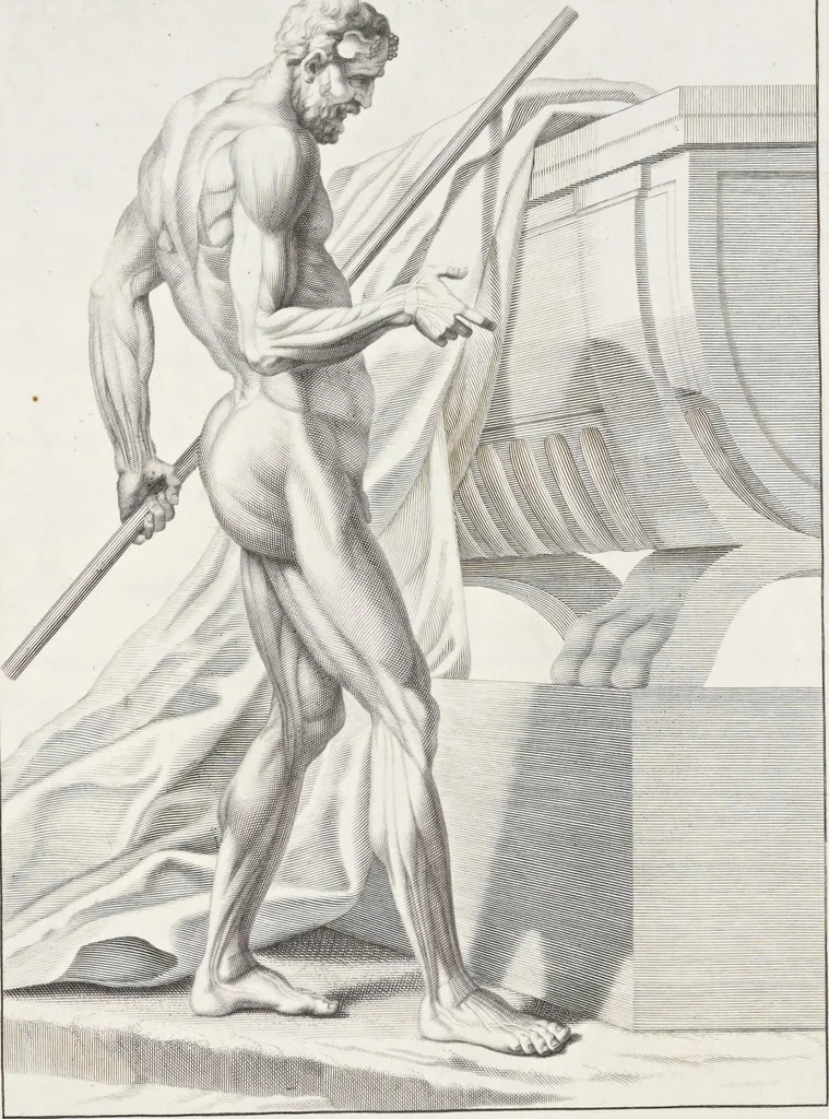 An illustration from Anatomia per uso et intelligenza del disegno; ricercata non solo su gl'ossi e muscoli del corpo humano, ma dimostrata ancora su le statue antiche più insigni di Roma;, 1691, leaf 114