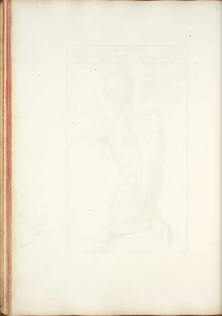 An illustration from Anatomia per uso et intelligenza del disegno; ricercata non solo su gl'ossi e muscoli del corpo humano, ma dimostrata ancora su le statue antiche più insigni di Roma;, 1691, leaf 51