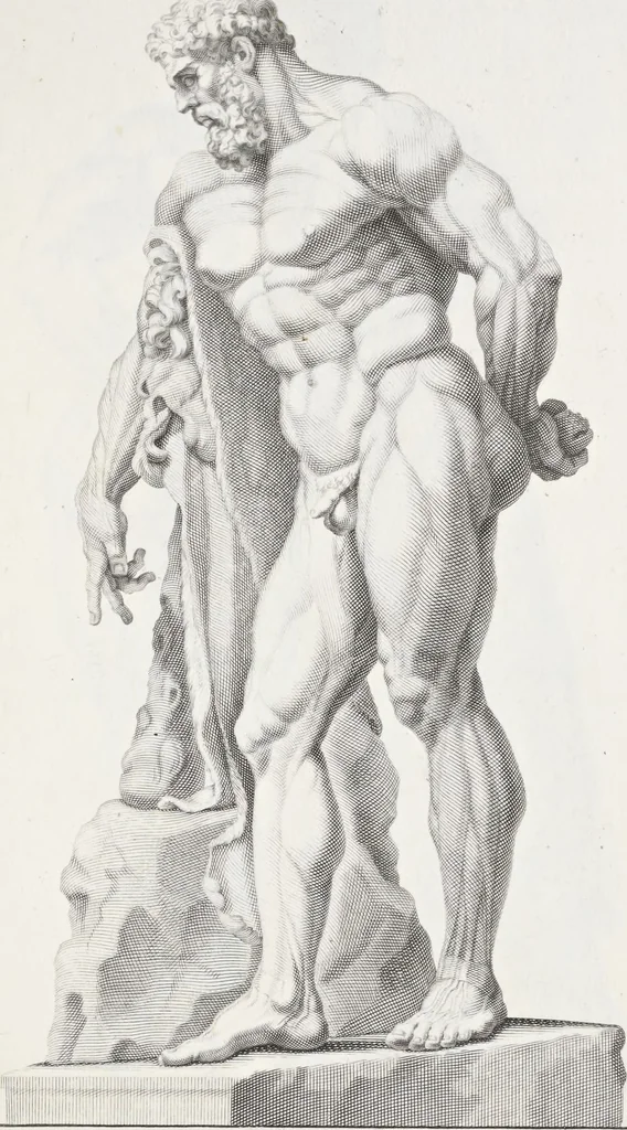 An illustration from Anatomia per uso et intelligenza del disegno; ricercata non solo su gl'ossi e muscoli del corpo humano, ma dimostrata ancora su le statue antiche più insigni di Roma;, 1691, leaf 86