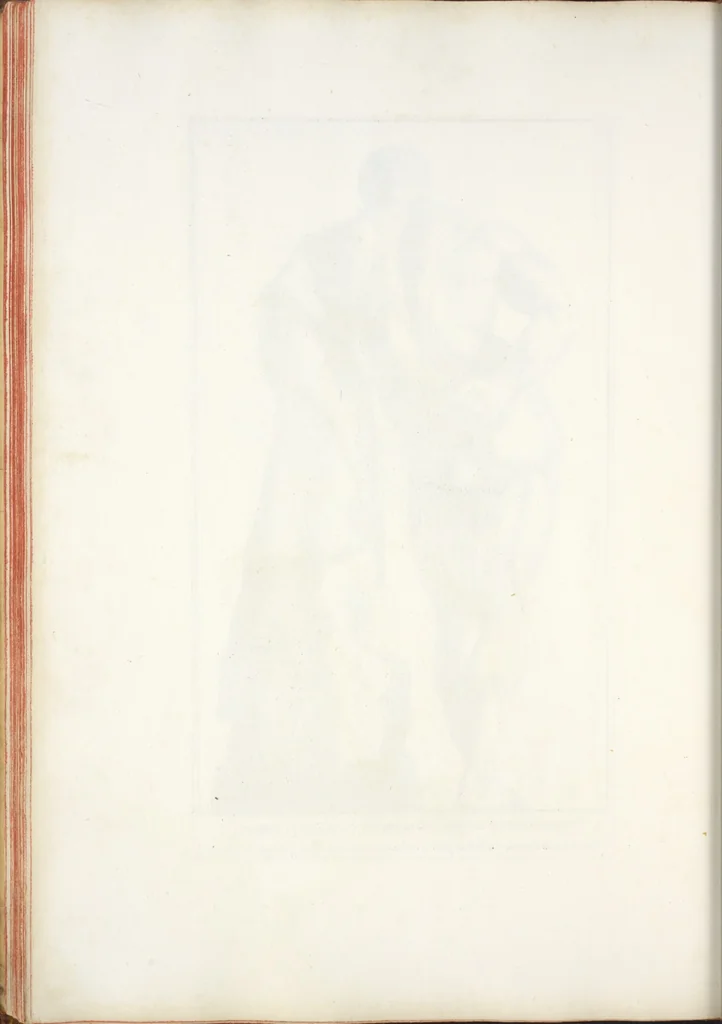 An illustration from Anatomia per uso et intelligenza del disegno; ricercata non solo su gl'ossi e muscoli del corpo humano, ma dimostrata ancora su le statue antiche più insigni di Roma;, 1691, leaf 89