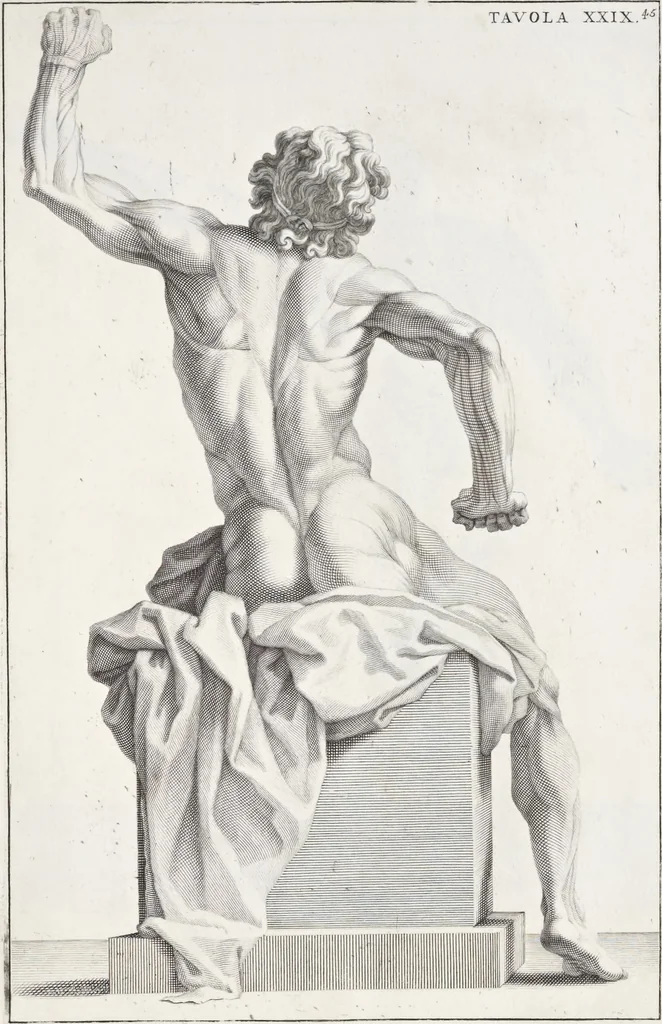 An illustration from Anatomia per uso et intelligenza del disegno; ricercata non solo su gl'ossi e muscoli del corpo humano, ma dimostrata ancora su le statue antiche più insigni di Roma;, 1691, leaf 94