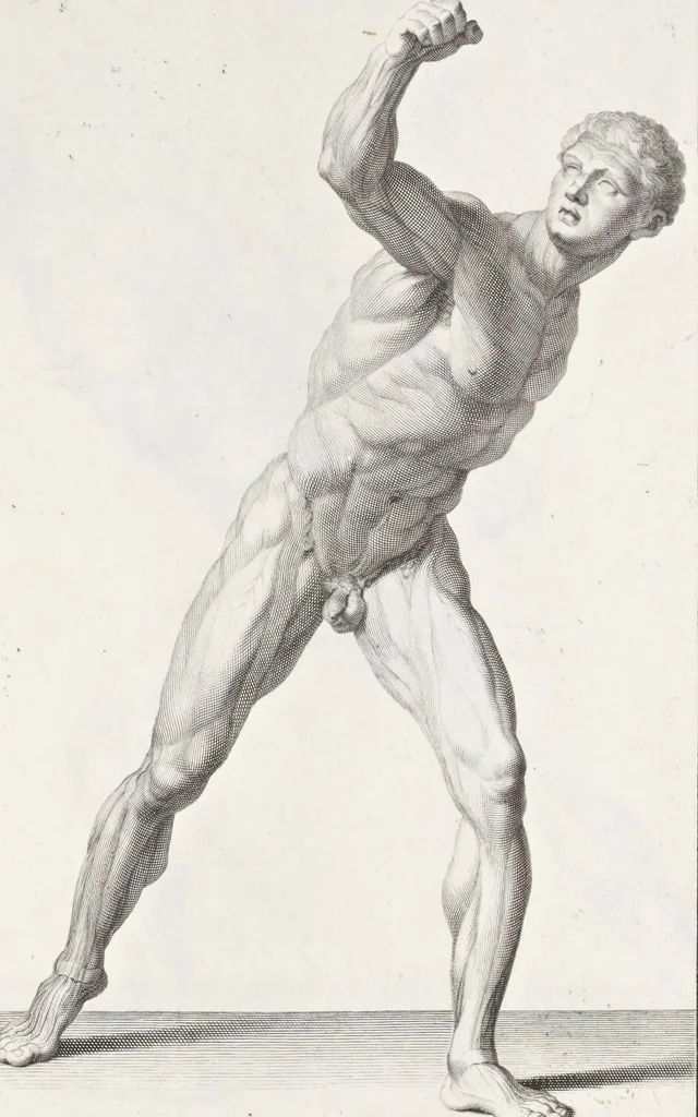 An illustration from Anatomia per uso et intelligenza del disegno; ricercata non solo su gl'ossi e muscoli del corpo humano, ma dimostrata ancora su le statue antiche più insigni di Roma;, 1691, leaf 98