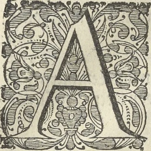 An illustration from Architectura militaris nova et aucta, oder, Newe vermehrte Fortification von regular Vestungen, von irregular Vestungen vnd Aussen wercken, von Praxi offensiva vnd defensiva : auff die neweste Niederländische Praxin gerichtet vnd beschrieben, 1665, leaf 13