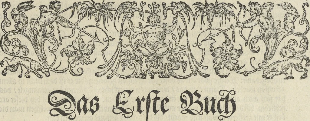 An illustration from Architectura militaris nova et aucta, oder, Newe vermehrte Fortification von regular Vestungen, von irregular Vestungen vnd Aussen wercken, von Praxi offensiva vnd defensiva : auff die neweste Niederländische Praxin gerichtet vnd beschrieben, 1665, leaf 14