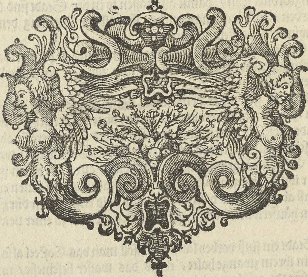 An illustration from Architectura militaris nova et aucta, oder, Newe vermehrte Fortification von regular Vestungen, von irregular Vestungen vnd Aussen wercken, von Praxi offensiva vnd defensiva : auff die neweste Niederländische Praxin gerichtet vnd beschrieben, 1665, leaf 247