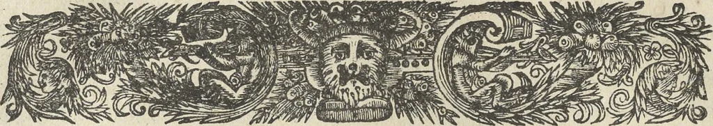 An illustration from Architectura militaris nova et aucta, oder, Newe vermehrte Fortification von regular Vestungen, von irregular Vestungen vnd Aussen wercken, von Praxi offensiva vnd defensiva : auff die neweste Niederländische Praxin gerichtet vnd beschrieben, 1665, leaf 249
