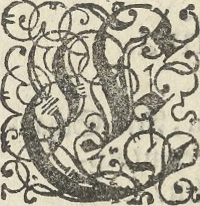 An illustration from Architectura militaris nova et aucta, oder, Newe vermehrte Fortification von regular Vestungen, von irregular Vestungen vnd Aussen wercken, von Praxi offensiva vnd defensiva : auff die neweste Niederländische Praxin gerichtet vnd beschrieben, 1665, leaf 249