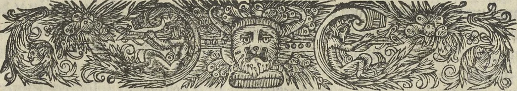 An illustration from Architectura militaris nova et aucta, oder, Newe vermehrte Fortification von regular Vestungen, von irregular Vestungen vnd Aussen wercken, von Praxi offensiva vnd defensiva : auff die neweste Niederländische Praxin gerichtet vnd beschrieben, 1665, leaf 252