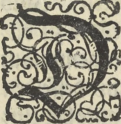 An illustration from Architectura militaris nova et aucta, oder, Newe vermehrte Fortification von regular Vestungen, von irregular Vestungen vnd Aussen wercken, von Praxi offensiva vnd defensiva : auff die neweste Niederländische Praxin gerichtet vnd beschrieben, 1665, leaf 8